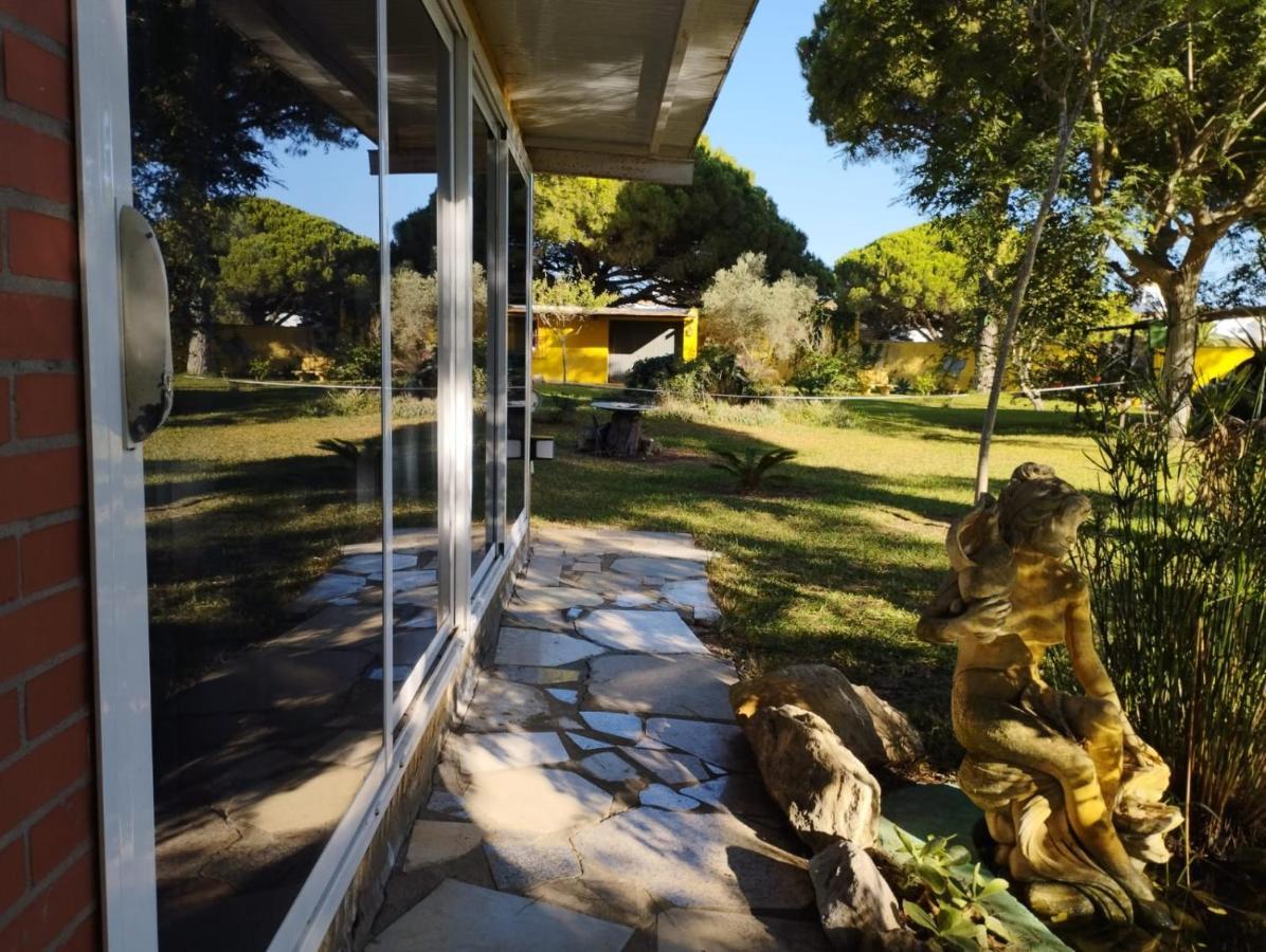 Jacaranda Leilighet Cádiz Eksteriør bilde