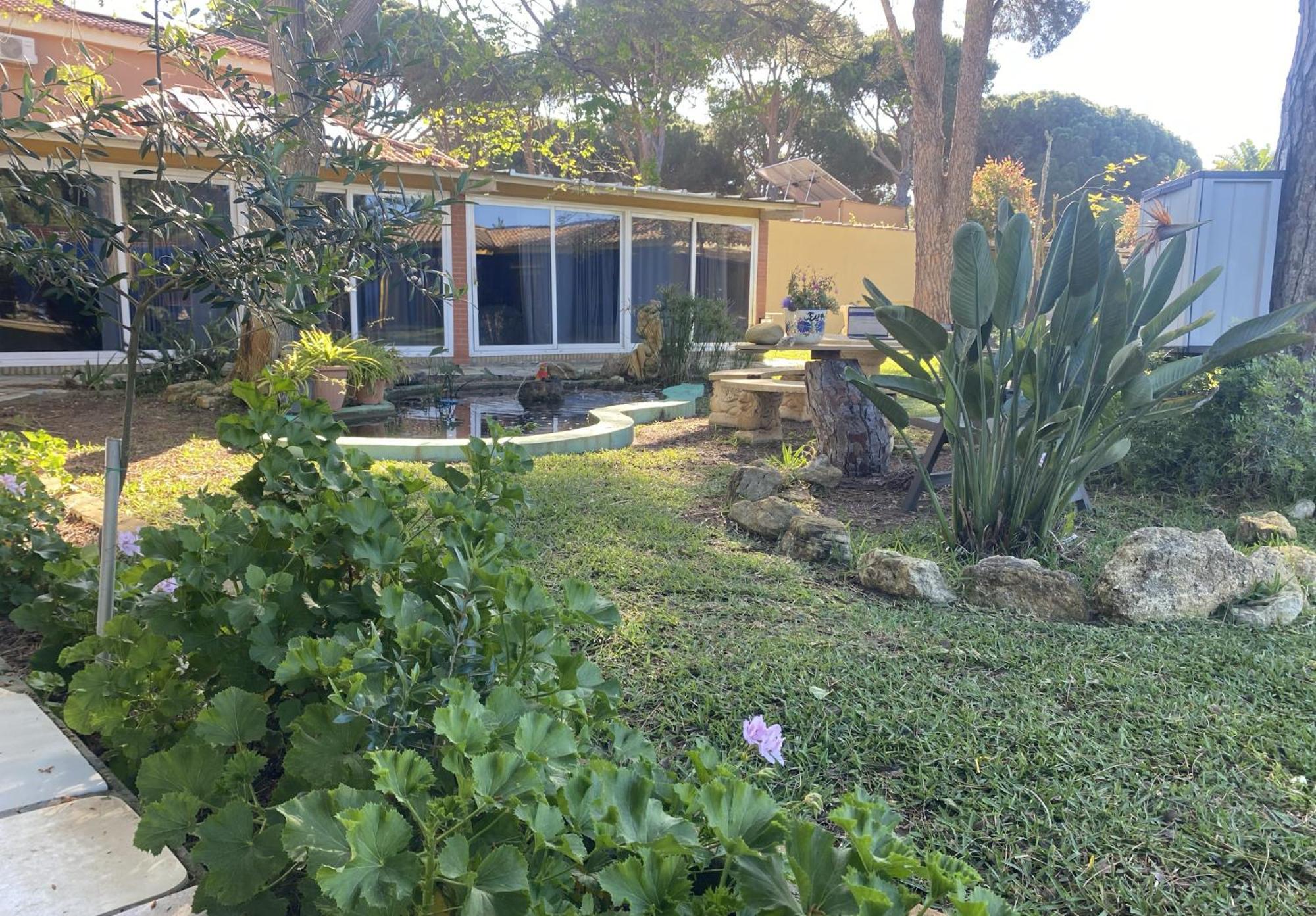 Jacaranda Leilighet Cádiz Eksteriør bilde